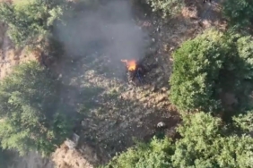 diyarbakirda-57-ton-toz-esrar-ve-kok-kenevir-ile-skunk-imhasi-uzNfHHaI.jpg