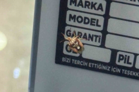 diyarbakirda-gorenleri-sasirtan-yuzlu-bocek-HkN1hg6p.jpg