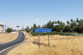 diyarbakirda-kedinin-isirdigi-cocuk-entube-edildi-ve-kuduz-tanisi-koyuldu-hygTrPi1.jpg