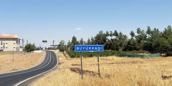 Diyarbakır’da Kedinin Isırdığı Çocuk Entübe Edildi ve Kuduz Tanısı Koyuldu