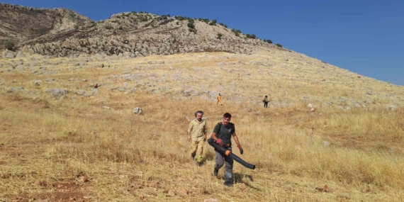 Diyarbakır’daki 400 Dönüm Alanı Küllere Dönüştüren Yangın Kontrol Altında