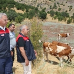 elazig-kirsalda-bereket-ve-hayvancilik-destek-projesi-devam-ediyor-vXH5rsQG.jpg