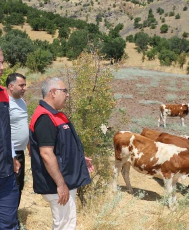 elazig-kirsalda-bereket-ve-hayvancilik-destek-projesi-devam-ediyor-vXH5rsQG.jpg