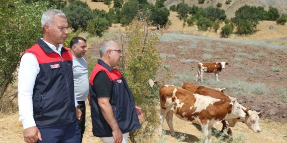 Elazığ Kırsalda Bereket ve Hayvancılık Destek Projesi Devam Ediyor