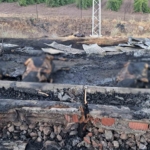 Elazığ Belediyesi, 15 Bin Metrelik Sathi Kaplama Yol Çalışmasıyla Ulaşımı Güçlendiriyor thumbnail