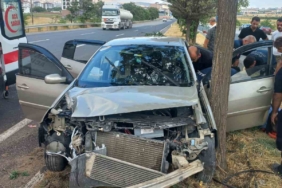 elazigda-otomobilin-agaca-carpmasi-sonucu-4-yarali-b2juikNf.jpg