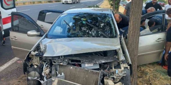 Elazığ’da Otomobilin Ağaca Çarpması Sonucu 4 Yaralı