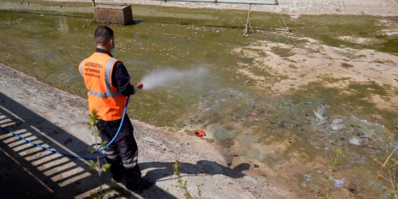 Elazığ’da Süregelen İlaçlama Çalışmaları