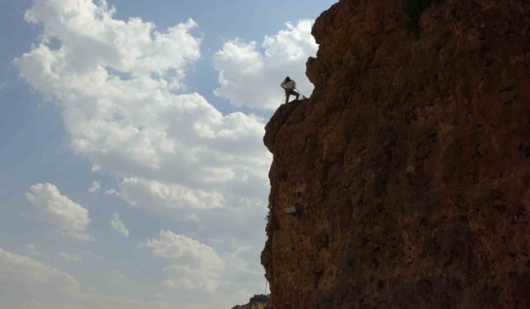 gercusun-cesur-aricisinin-600-metre-yuksekliginde-hasat-macerasi-GMlckHhg.jpg