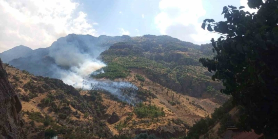 Hakkâri’de Orman Yangınına Giden Arazöz Zap Suyu’na Uçtu: Üç Yaralı