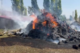 karsta-bir-yillik-emek-yanip-kavruldu-bin-balyalik-ot-kul-oldu-Hz9g8a4l.jpg