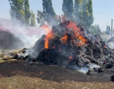 karsta-bir-yillik-emek-yanip-kavruldu-bin-balyalik-ot-kul-oldu-Hz9g8a4l.jpg
