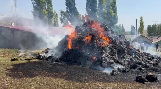 Kars’ta Bir Yıllık Emek Yanıp Kavruldu: Bin Balyalık Ot Kül Oldu