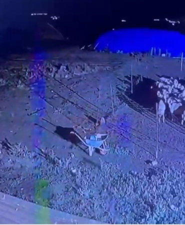karsta-gece-yarisi-yerlesim-yerine-inmis-kurt-guvenlik-kamerasinda-2yFdxtcR.jpg
