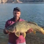 Elazığ’da Sağlık Hizmetleri Kalite Değerlendirmesi thumbnail