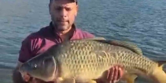 Keban Baraj Gölü’nde Rekor Kıran 10 Kiloluk Sazan Yakalandı