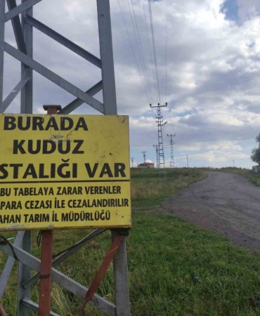kuduz-nedeniyle-mahalleye-giris-ve-cikislarin-yasaklanmasi-RHZ6Lce7.jpg