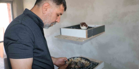 Küllerinden Doğan Güvercin Oteli Yeniden Açıldı