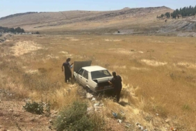 mardinde-yol-kenarina-devrilen-otomobilde-surucu-yaralandi-dmT7Cppn.jpg