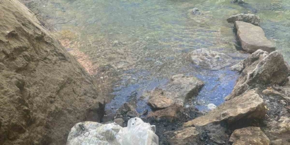 Piknik Alanında Bırakılan Çöpler Vatandaşın Tepkisini Çekti