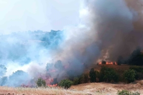 puturgede-orman-ve-ortu-yanginina-havadan-mudahale-Xz1wBOpO.jpg