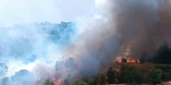 Pütürge’de Orman ve Örtü Yangınına Havadan Müdahale