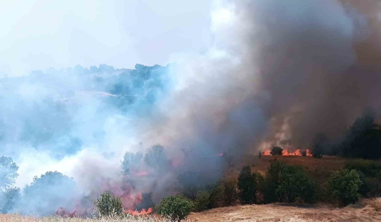 puturgede-orman-ve-ortu-yanginina-havadan-mudahale-Xz1wBOpO.jpg