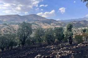 siirtte-5-noktada-yangin-alarmi-dort-bolge-itfaiye-tarafindan-sonduruldu-camtasinda-mudahale-devam-ediyor-PaObGlys.jpg