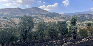 siirtte-5-noktada-yangin-alarmi-dort-bolge-itfaiye-tarafindan-sonduruldu-camtasinda-mudahale-devam-ediyor-PaObGlys.jpg
