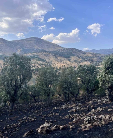 siirtte-5-noktada-yangin-alarmi-dort-bolge-itfaiye-tarafindan-sonduruldu-camtasinda-mudahale-devam-ediyor-PaObGlys.jpg