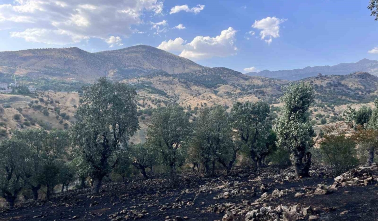 siirtte-5-noktada-yangin-alarmi-dort-bolge-itfaiye-tarafindan-sonduruldu-camtasinda-mudahale-devam-ediyor-PaObGlys.jpg