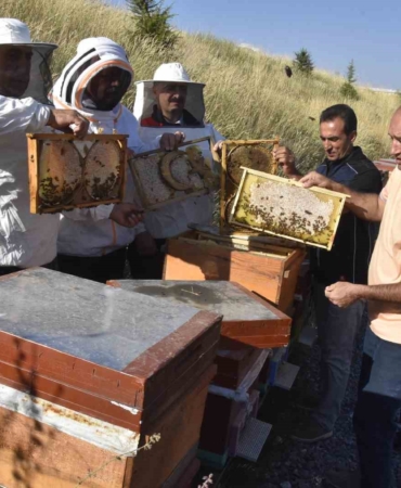 universite-ari-isletmesinde-bal-hasadi-heyecani-basladi-AR3mS3fN.jpg