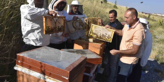Üniversite Arı İşletmesinde Bal Hasadı Heyecanı Başladı