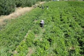 Van Sobacılar Çarşısı'nda Kış İçin Hazırlıklar Başladı