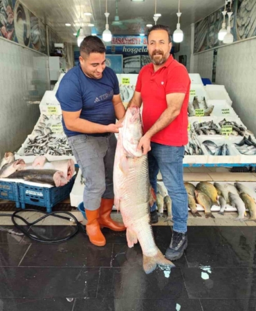 batmanda-15-metre-uzunlugundaki-dev-balik-tezg-hlari-senlendirdi-xtjsrd37.jpg