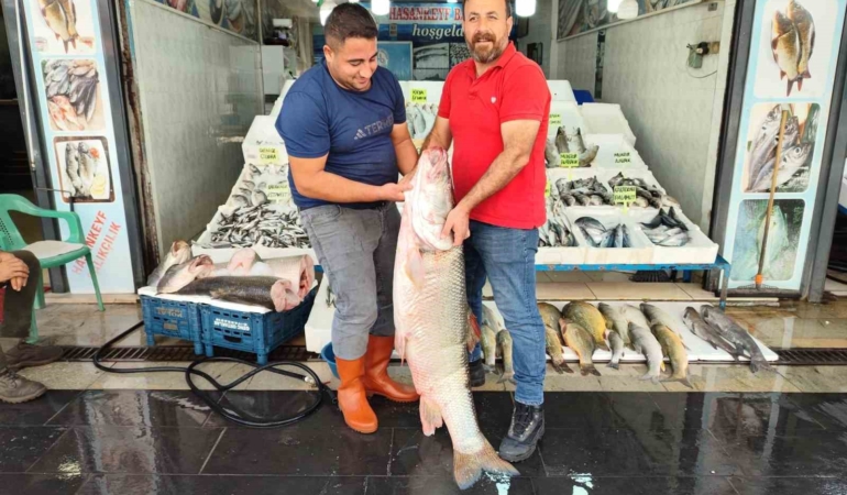 batmanda-15-metre-uzunlugundaki-dev-balik-tezg-hlari-senlendirdi-xtjsrd37.jpg