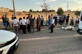 Elazığ’da uyuşturucu operasyonu: 5 kişi yakalandı