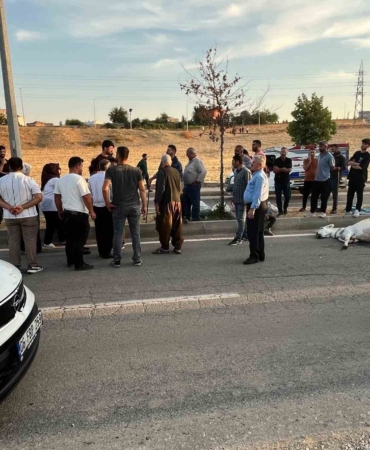 batmanda-hafif-ticari-arac-esege-carpti-rGldP7KD.jpg