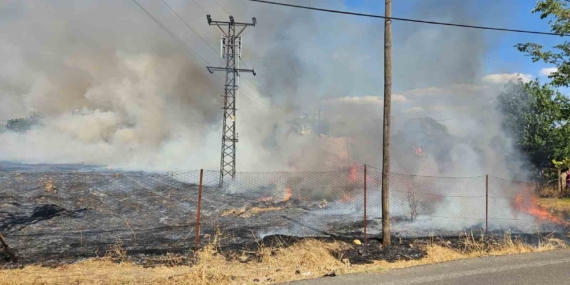 Bingöl’de Otluk Alanlarındaki Yangın Olgusu