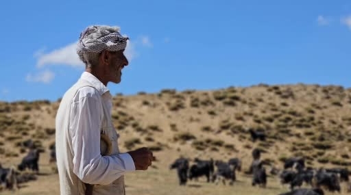 Bursa’dan Köyüne Dönüp Hayvancılıkla Geçimini Sağlayan Adam