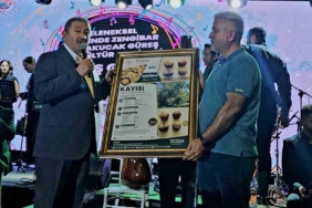 darendenin-tescilli-cevizi-dunya-capinda-rakibini-geride-birakti-KnIKD6rX.jpg