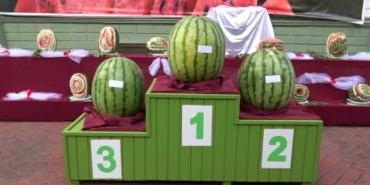 diyarbakir-16-karpuz-festivali-buyuk-cosku-ile-kutlandi-WWeNHRfa.jpg