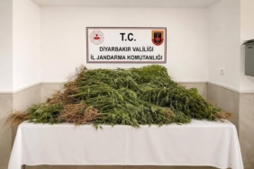 Elazığ'da 9 İl Yarıştı, Bölge Birinciliği Erzincan'a Gitti