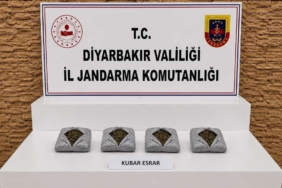 diyarbakirda-187-bin-391-kok-kenevir-ve-255-kilo-esrar-ele-gecirildi-2bZi1bU5.jpg