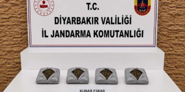 diyarbakirda-187-bin-391-kok-kenevir-ve-255-kilo-esrar-ele-gecirildi-2bZi1bU5.jpg