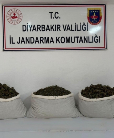 diyarbakirda-253-bin-kok-kenevir-ve-42-kilo-esrar-operasyonu-sF9NK5sc.jpg