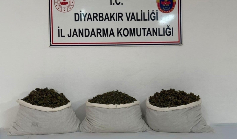 diyarbakirda-253-bin-kok-kenevir-ve-42-kilo-esrar-operasyonu-sF9NK5sc.jpg