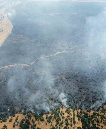elazig-kirsalinda-baslayan-yangin-ormanlik-alana-sicradi-mudahale-devam-ediyor-2RPPv8vl.jpg