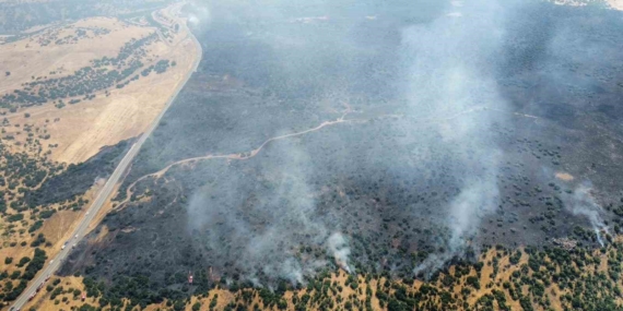 Elazığ Kırsalında Başlayan Yangın Ormanlık Alana Sıçradı: Müdahale Devam Ediyor