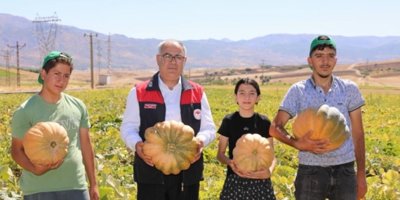 Elazığ’da Kabak Hasadı Başladı: 4000 Tonun Üzerinde Rekolte Hedefleniyor